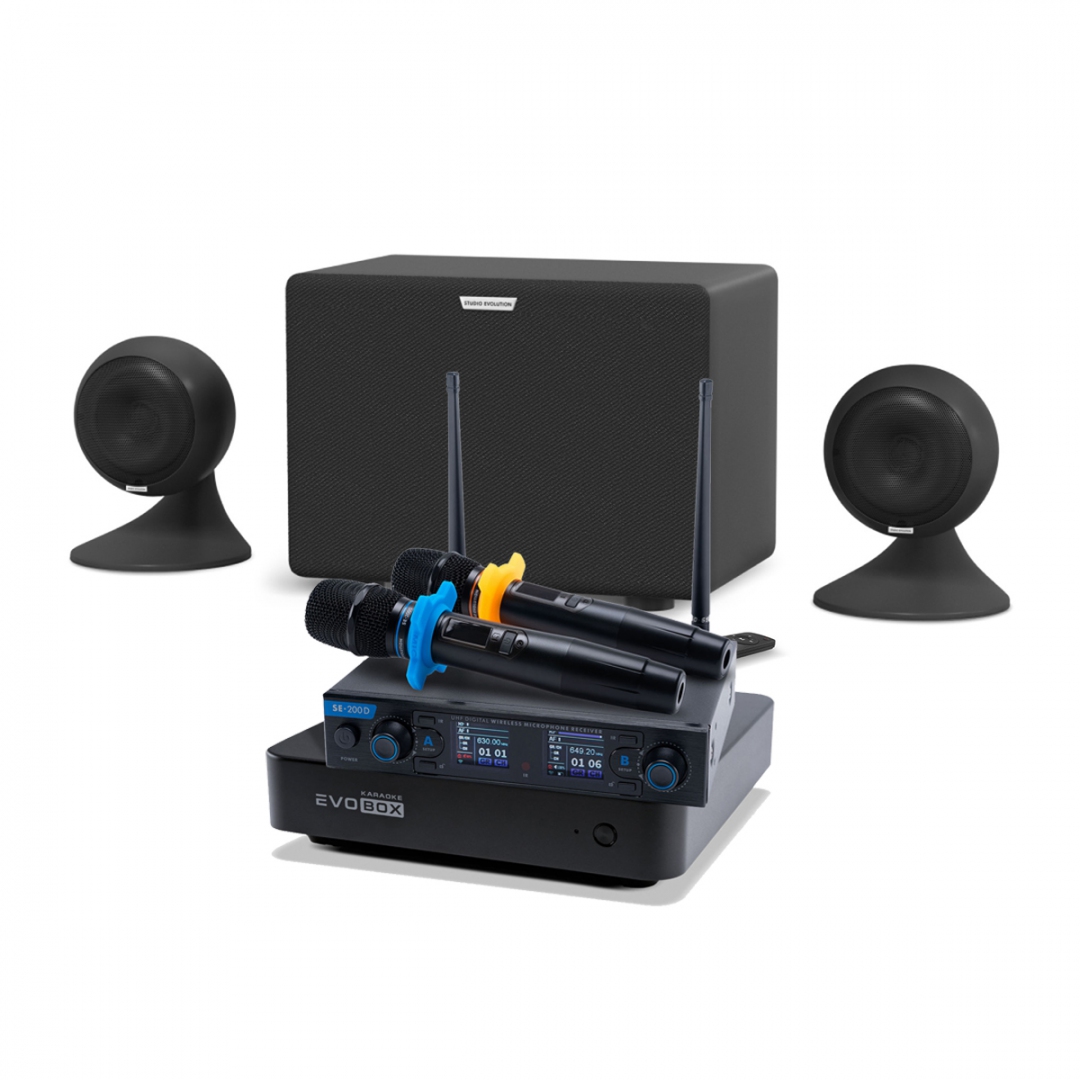 караоке-комплект EVOBOX + EvoSound Sphere 2.1 в Бирске
