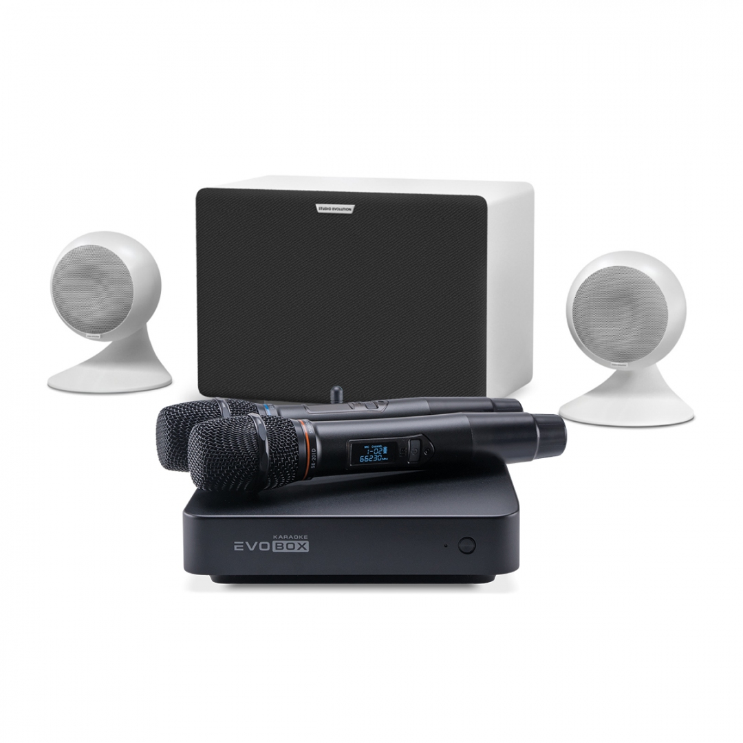 караоке-комплект EVOBOX Classic + EvoSound Sphere 2.1 в Бирске