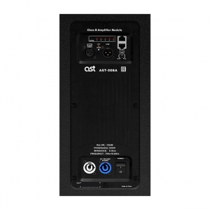 Активная акустическая система AST-308A в Бирске
