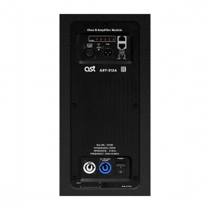 Активная акустическая система AST-312A в Бирске