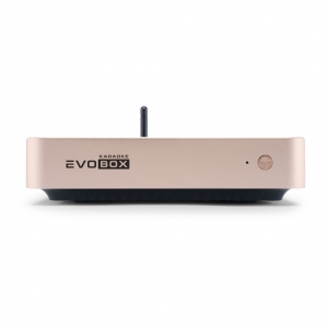 EVOBOX Plus караоке-система для дома в Бирске