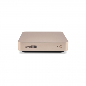 EVOBOX с микрофонами в Бирске